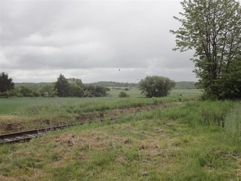 06 DSC01441