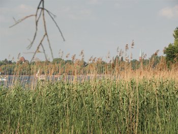 SAMSUNG DIGITAL CAMERA