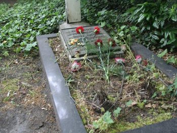 8mai09-16