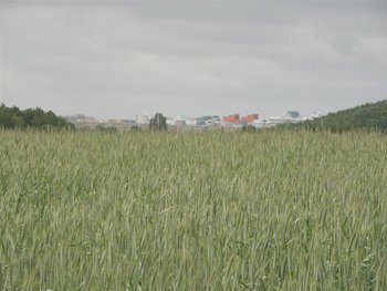 SAMSUNG DIGITAL CAMERA